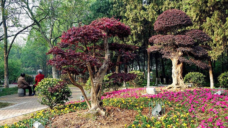 如何利用植物構成園林景觀規劃設計的空間